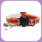 Collar-209